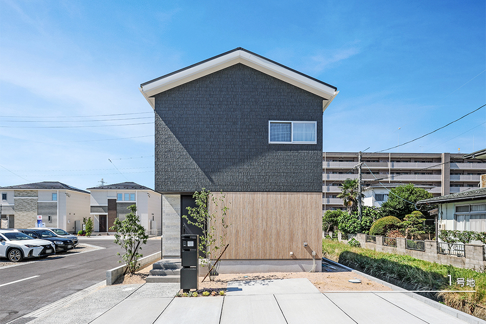 1号地