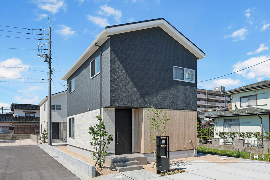 1号地