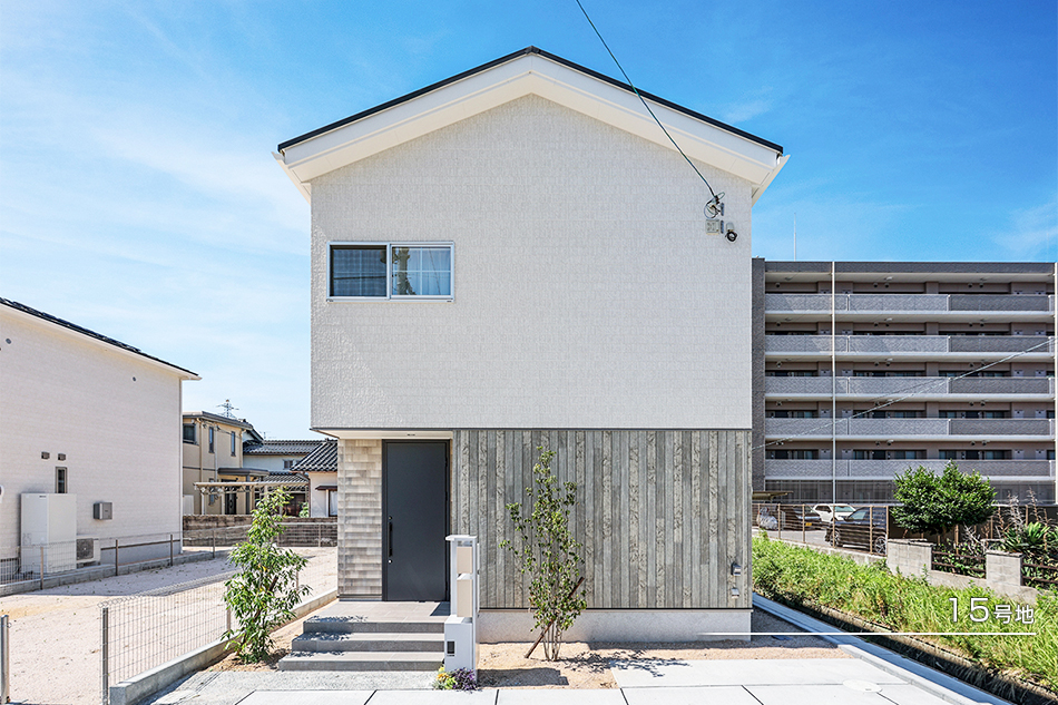 15号地