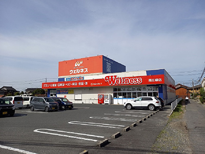 ドラッグストアウェルネス両三柳店