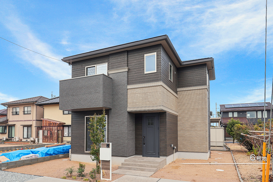 6号地