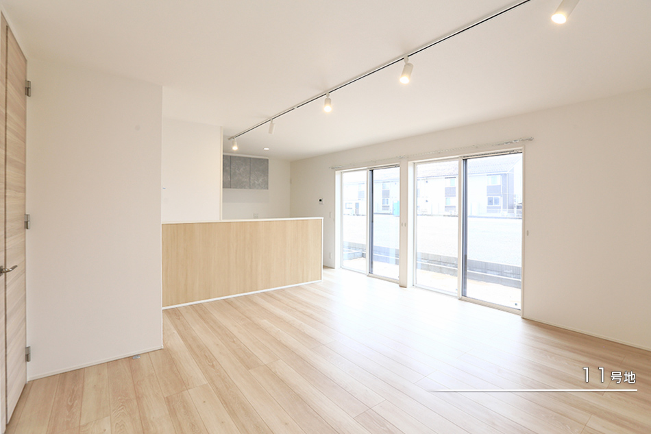 11号地
