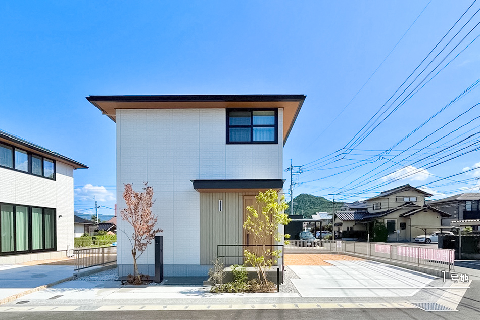 1号地