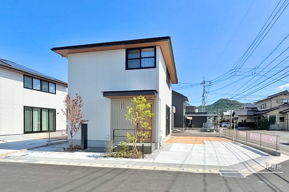 1号地