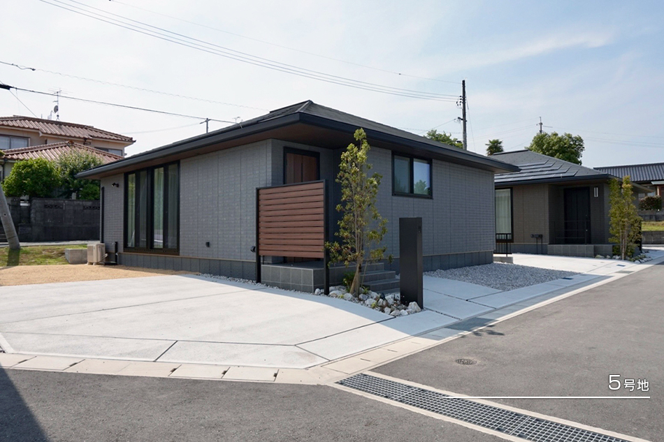 5号地