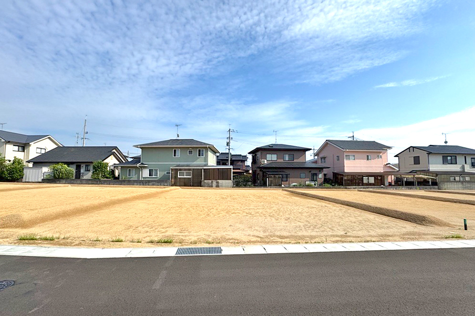 4号地