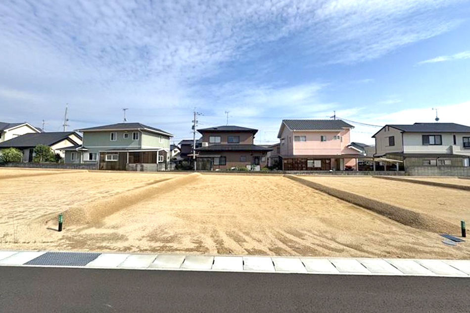 5号地