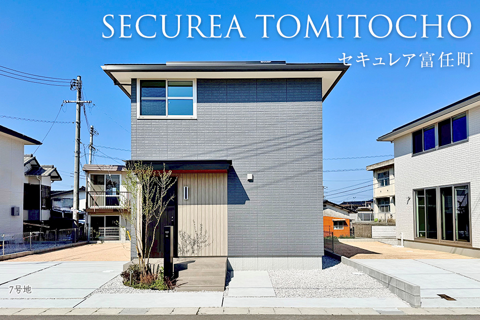 7号地