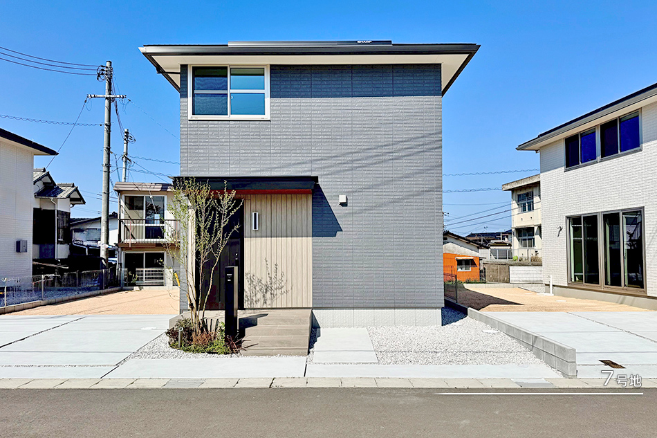 7号地