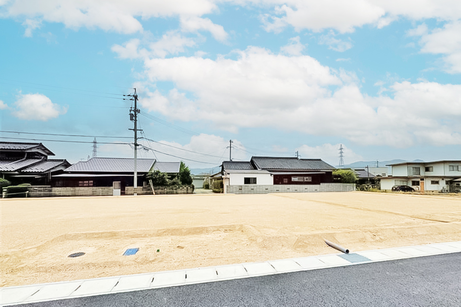 6号地