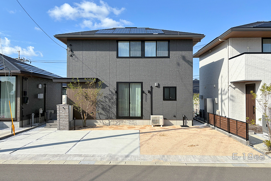 E-19号地