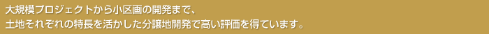大規模プロジェクトから小区画の開発まで、土地それぞれの特長を活かした分譲地開発で高い評価を得ています。