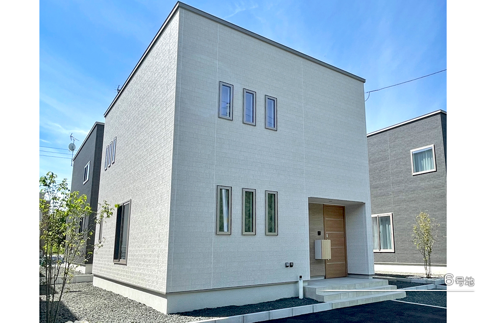 6号地