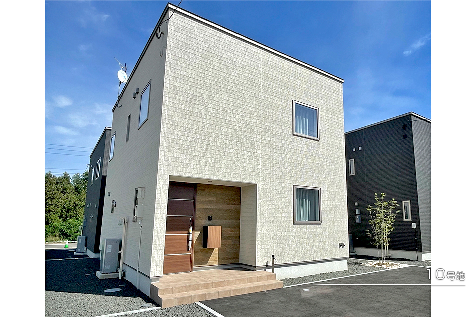 10号地
