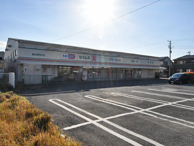 ドラッグセイムス柏花野井店