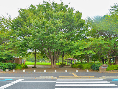 誉田さくら公園