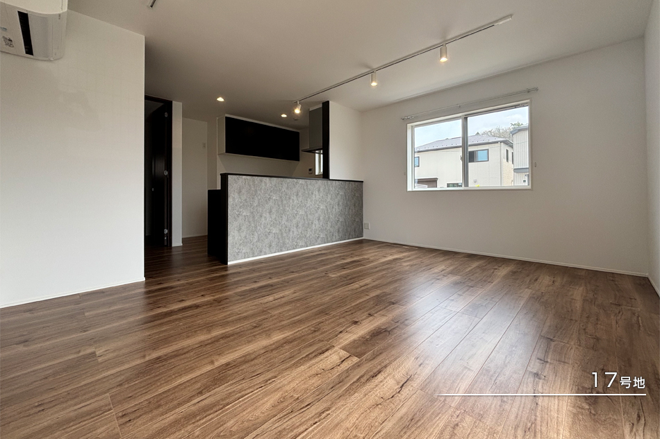 17号地