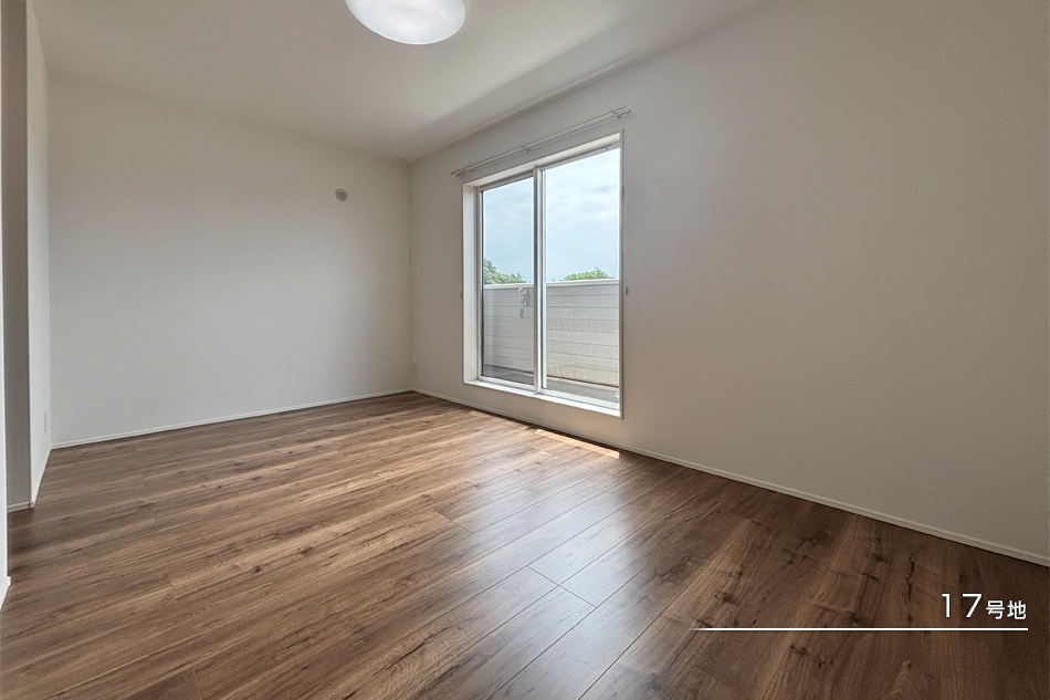 17号地
