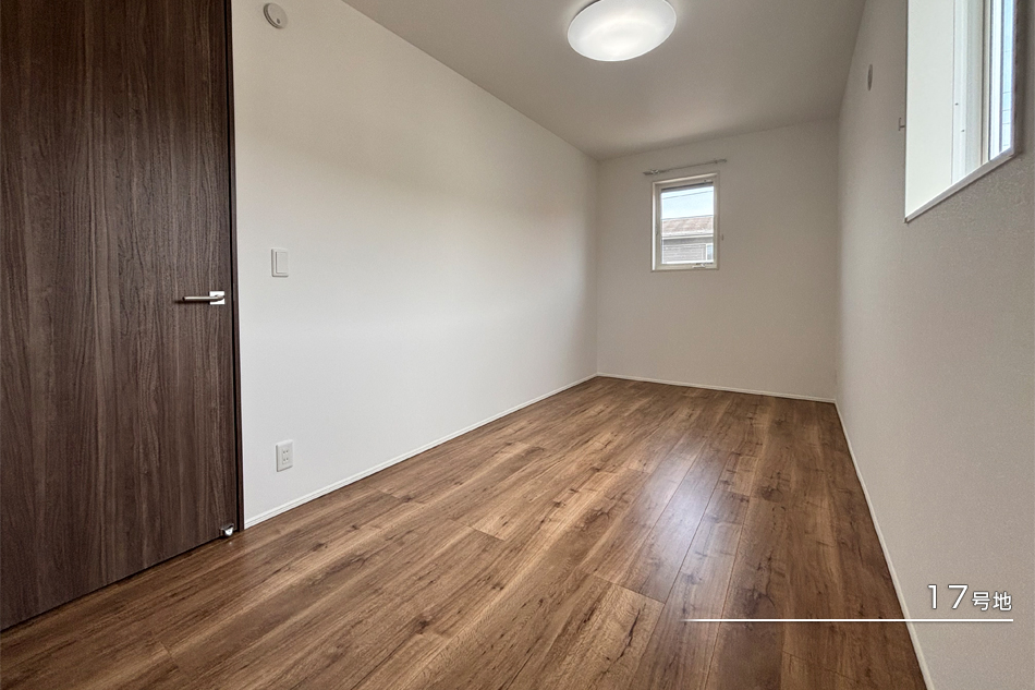 17号地
