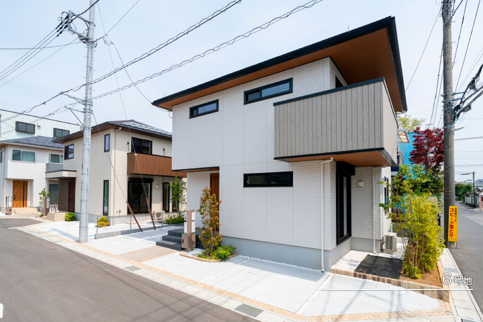 6号地