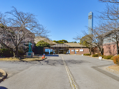 千葉県立美術館
