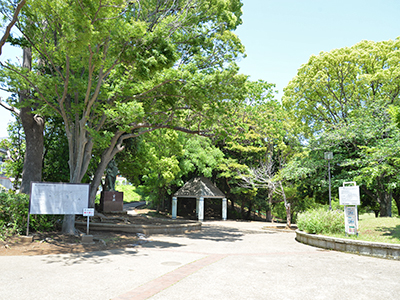 美しが丘近隣公園