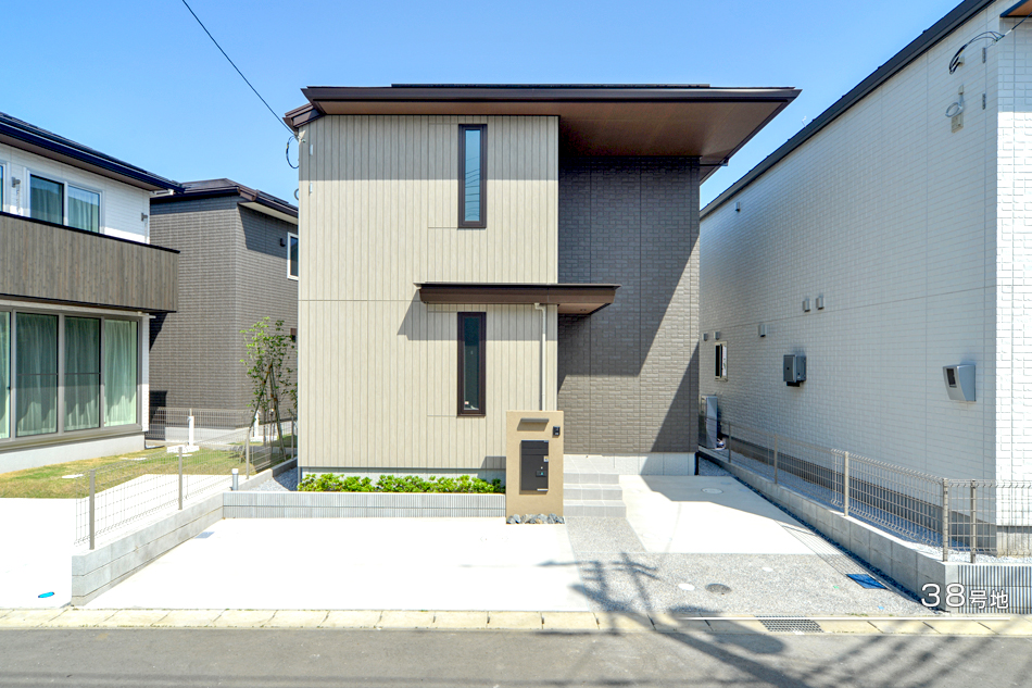 38号地