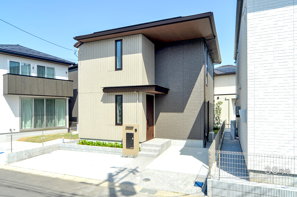 38号地