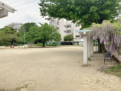 朝日が丘公園