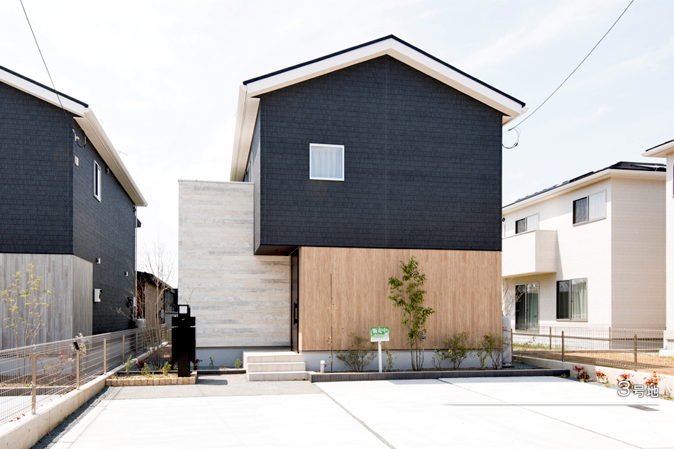 3号地