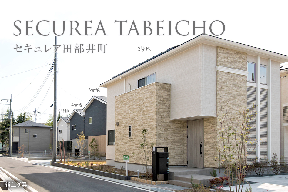 2号地
