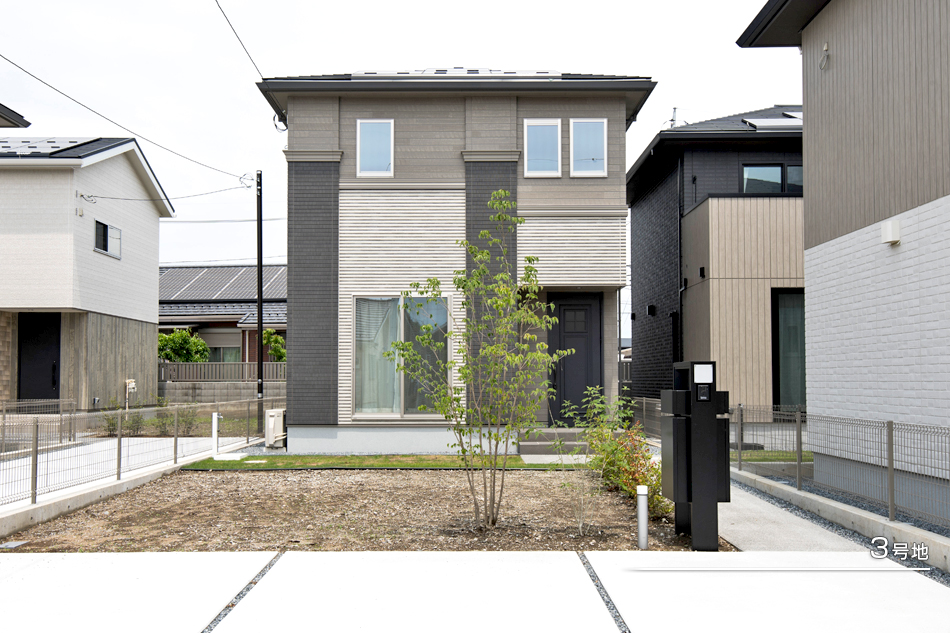 3号地