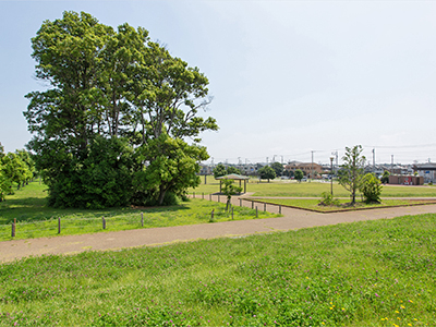 みらい平どんぐり公園