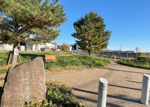 いやしの森公園