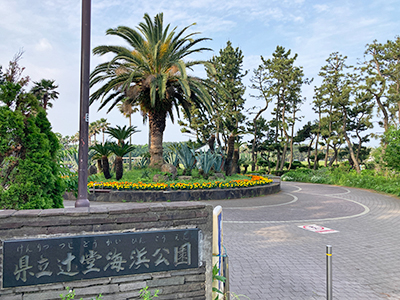 県立辻堂海浜公園