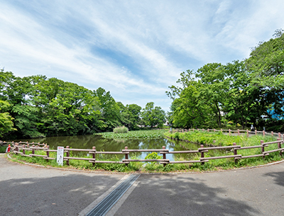 菊名池公園
