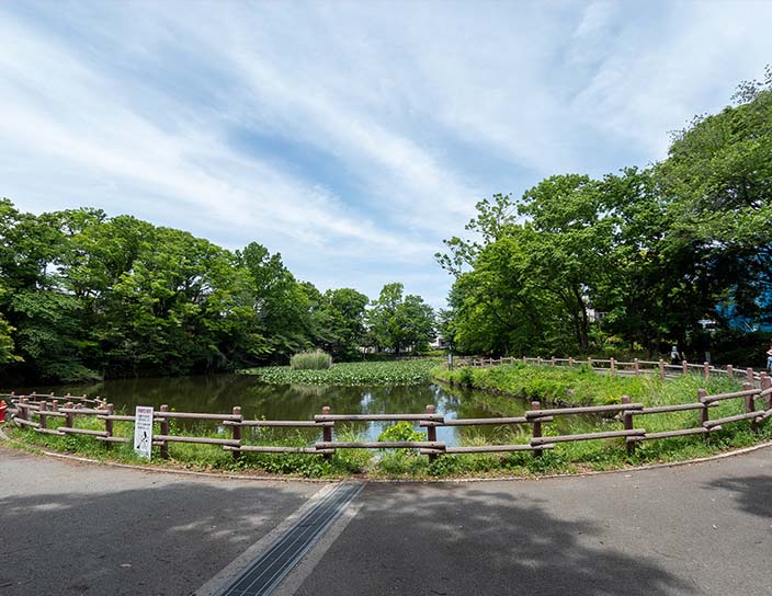 菊名池公園