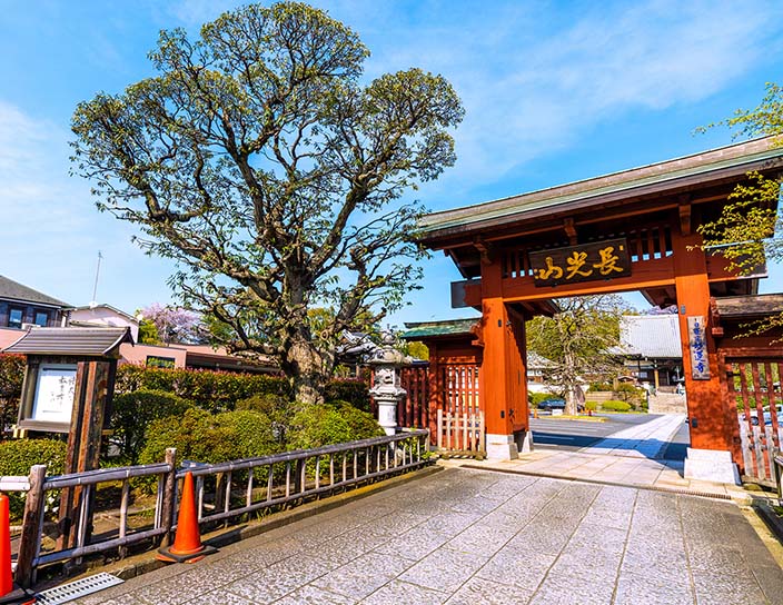 妙蓮寺