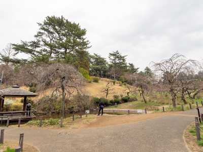 大倉山公園