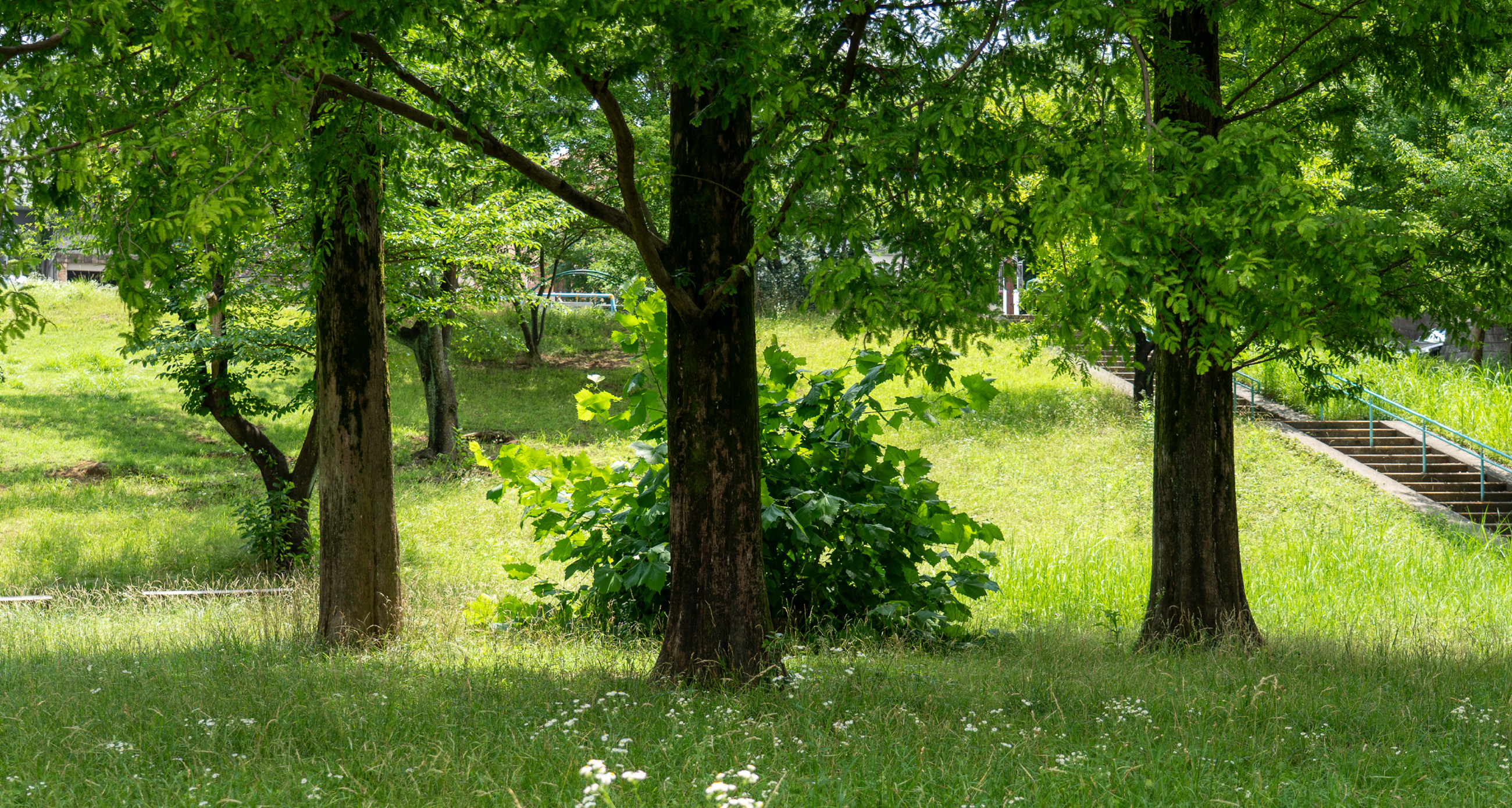 あざみ野四丁目北公園