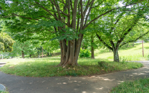 あざみ野四丁目北公園