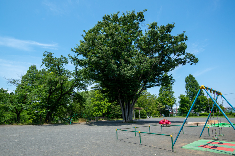 あざみ野四丁目北公園