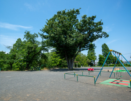 あざみ野四丁目北公園