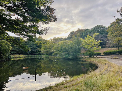 鴨池公園