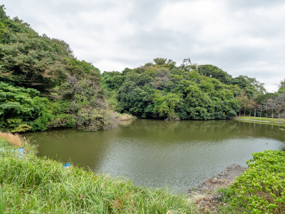 夫婦池公園