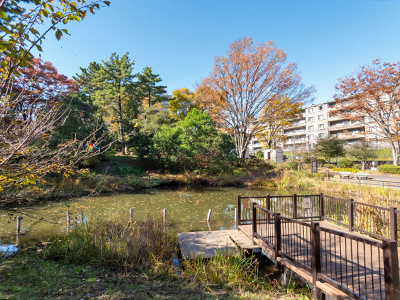 藤が丘公園