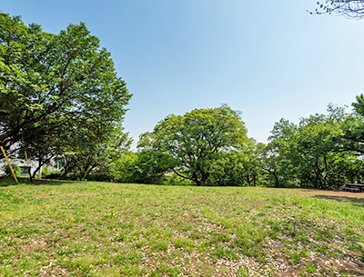 白幡の森プレイパーク