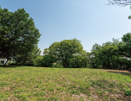 白幡の森プレイパーク