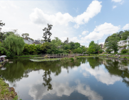 白幡池公園