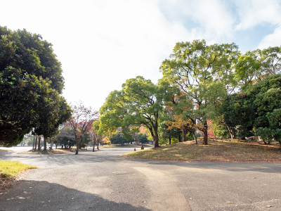 反町公園
